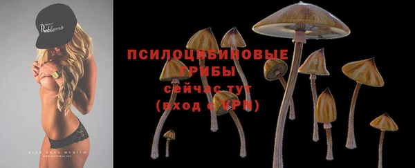 герыч Балахна