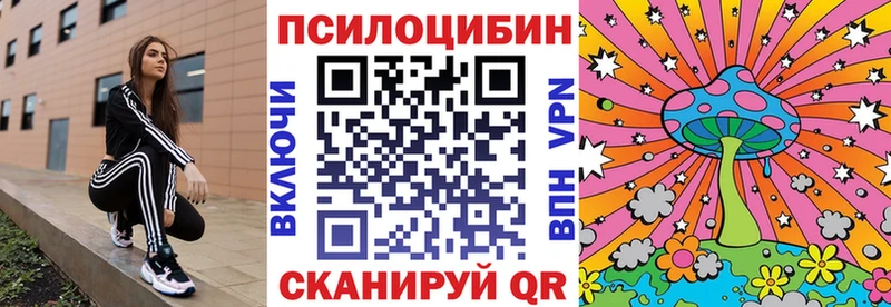 Галлюциногенные грибы Psilocybe  Черняховск 